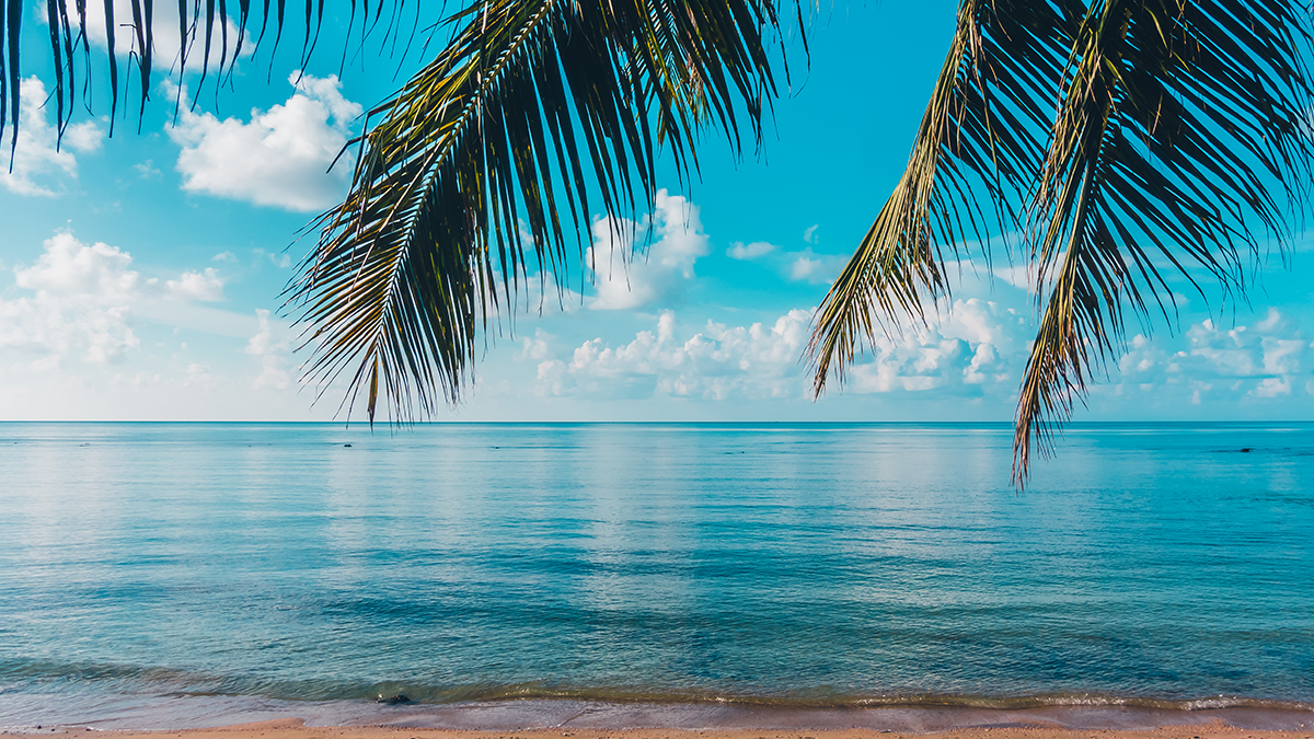 5+1 ötlet a tökéletes kerti partihoz 😎 beautiful outdoor tropical beach sea paradise island edited